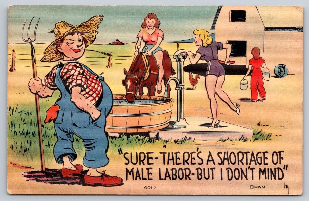 Vintage WWII Comic Linen Postcard Shortage of Male Labor Farmer Humor MWM GC412